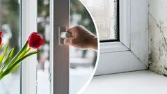 Milloin kotia kannattaa tuulettaa, jotta home ja kondenssi eivät pääse syntymään – asiantuntijat antavat selvän vastauksen