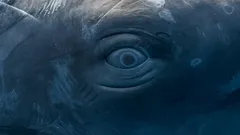 Meri puhui järjen äänellä: Tutkijat paljastivat olentojen kielen, joka häkellyttävästi muistuttaa meidän puhettamme