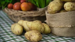 Laita tämä perunoiden päälle, niin ne säilyvät kevääseen asti: yksinkertainen ja tehokas säilytysmenetelmä