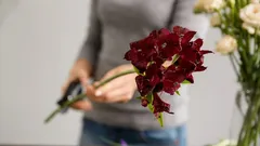 Kukat maljakossa säilyvät kaksinkertaisesti pidempään: floristin salaisuus, joka yllättää tuloksellaan